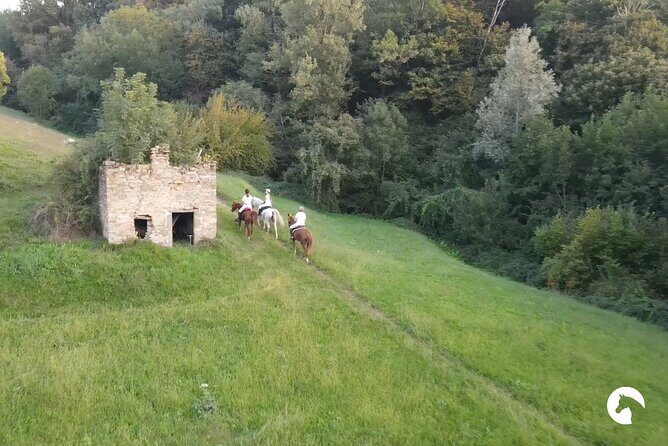 Horseback riding for experts between the lake and the mountains - Authenticity and Quality