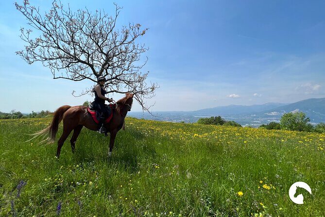 Horseback riding for experts between the lake and the mountains - Practical Considerations: What You Need to Know