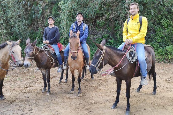 Horseback Riding from Guadalupe to Monserrate Private Day-Tour - What to Expect and Practical Details