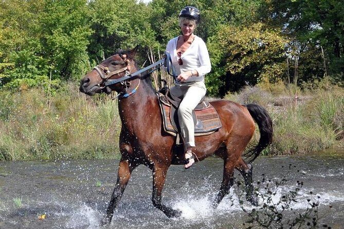 Horseback Riding From Kusadasi Port For Cruise Guests - Key Points