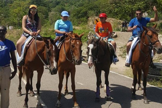 Horseback Riding from Montego Bay - Who Will Love This Tour?