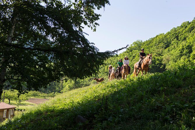 Horseback-Riding in a Country Side in Sapporo - Private Transfer is Included - The Experience in Detail