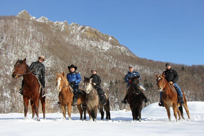 Horseback-Riding in a Country Side in Sapporo - Private Transfer is Included - Considerations to Keep in Mind