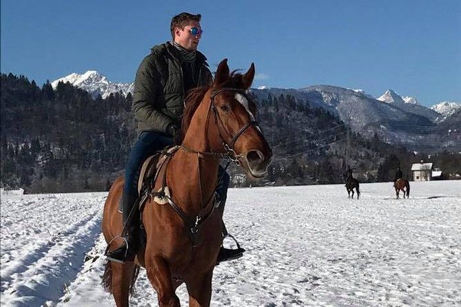Horseback Riding In Bled - Who Is This Tour Best for?