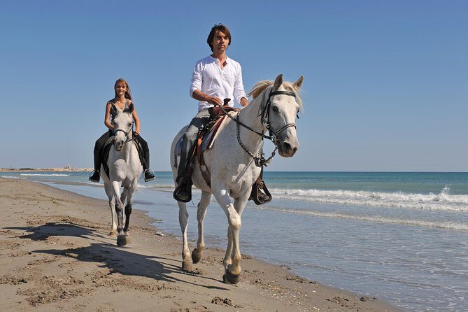Horseback Riding in Bodrum - An In-Depth Look at the Bodrum Horseback Experience