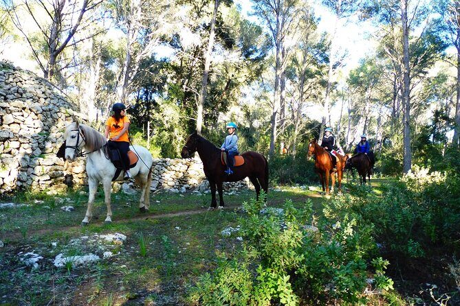 Horseback Riding in Cala Mitjana, Menorca, Spain - Who Is This Tour Best For?