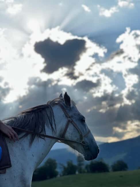 Horseback riding in Dilijan - The Itinerary and What Makes It Special