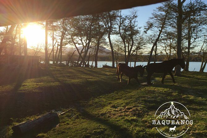 Horseback Riding in Escondido Lake - Horseback Riding in Escondido Lake: An Authentic Tierra del Fuego Adventure