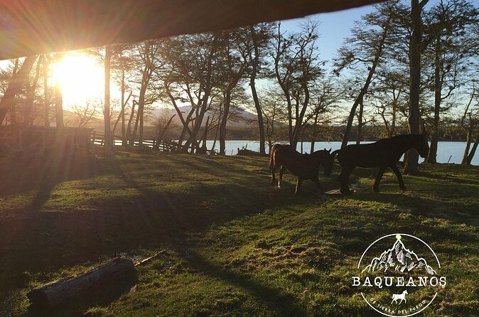 Horseback Riding in Escondido Lake - Frequently Asked Questions