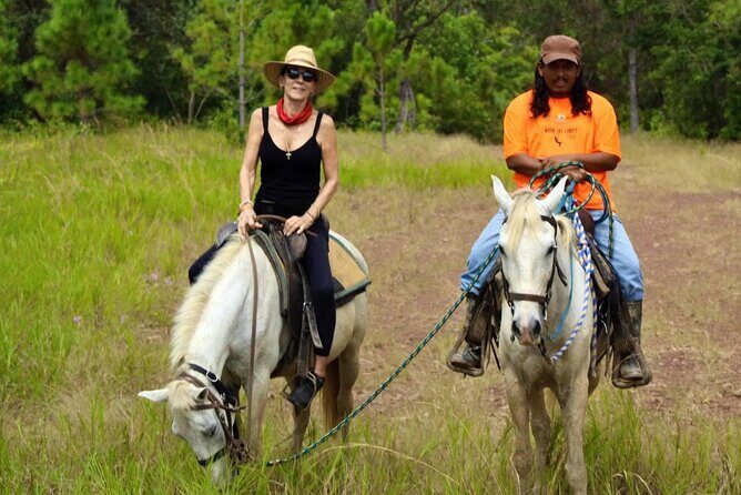 Horseback Riding in Hopkins - Key Points