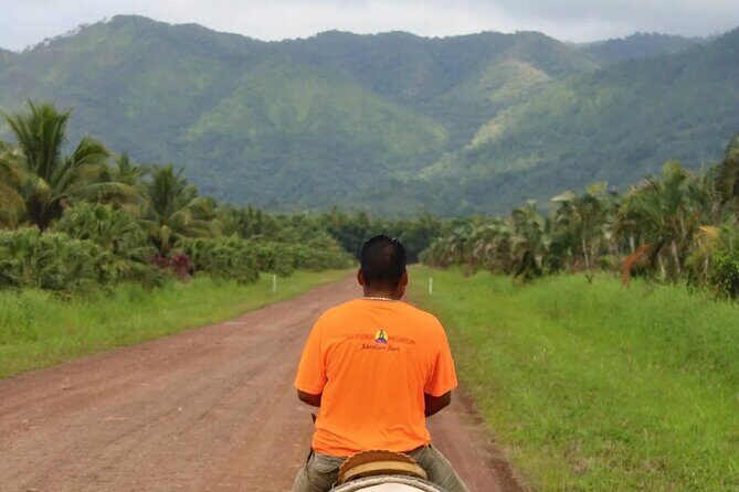 Horseback Riding in Hopkins - In-Depth Review of Horseback Riding in Hopkins