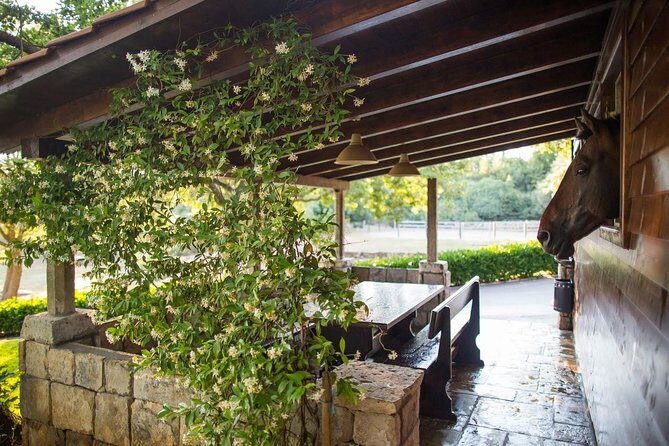 Horseback Riding in Konavle Region with Transport from Dubrovnik - Practical Details and Value