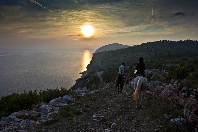 Horseback Riding in Konavle Region with Transport from Dubrovnik - Who Will Love This Tour?