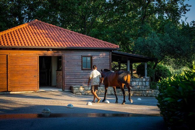 Horseback Riding in Konavle Region with Transport from Dubrovnik - The Sum Up