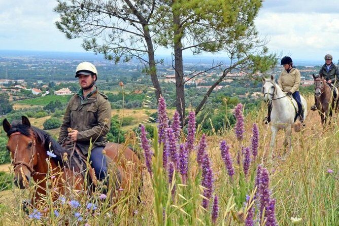 Horseback Riding In Lisbon - Arrábida - Louro Trail Mountain 5 - 6 Hours - Frequently Asked Questions