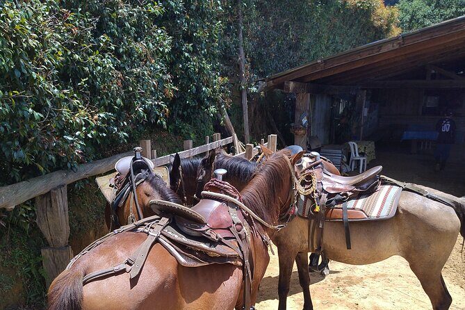 Horseback Riding in Medellin mountains - Key Points