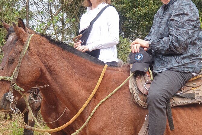 Horseback Riding in Medellin mountains - The Sum Up: The Right Fit for Authentic Nature and Gentle Adventure