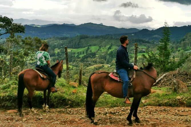 Horseback Riding in Medellin Private Tour: Great Views & Horses - The Sum Up