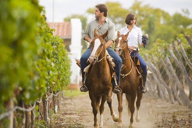 Horseback Riding in Mendoza through the vineyards and river with optional Asado. - Key Points