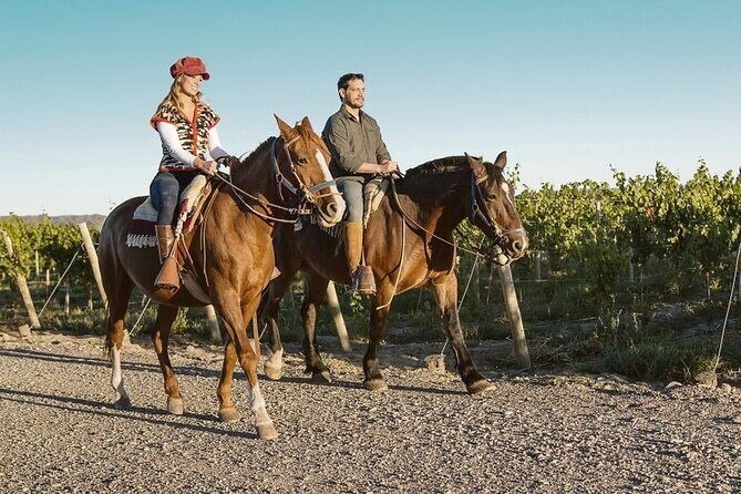 Horseback Riding in Mendoza through the vineyards and river with optional Asado. - A Deep Dive into the Mendoza Horseback Experience