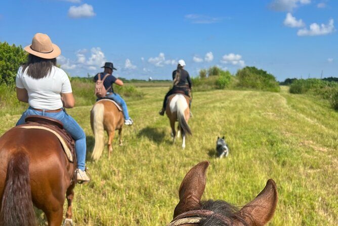 Horseback Riding in Miami - FAQs about Horseback Riding in Miami