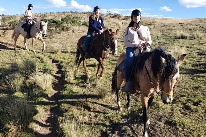Horseback Riding in Miradores del Valle del Cusco, Perú - Authentic Insights & What Travelers Say