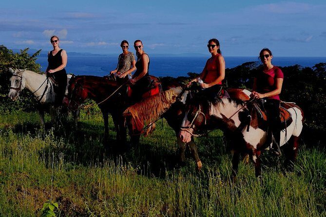 Horseback Riding in Playa Carrillo - Horseback Riding in Playa Carrillo: A Closer Look