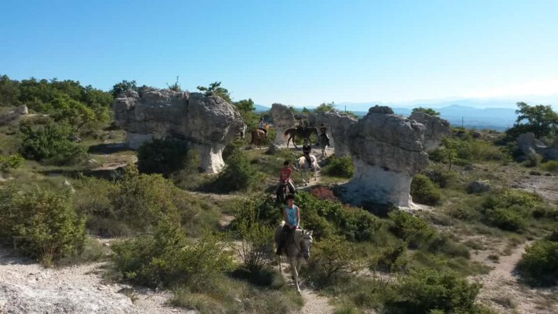 Horseback riding in Provence Luberon - The Horses and Guides: What Makes Them Special?