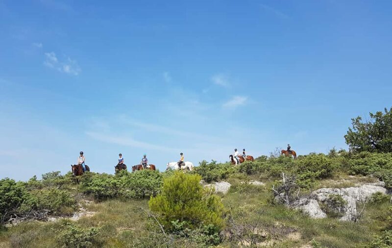 Horseback riding in Provence Luberon - Who Should Consider This Experience?