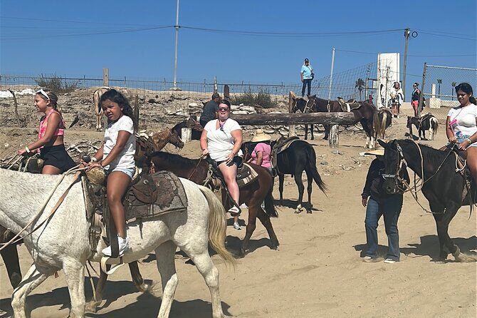 Horseback Riding in Punta Banda - The Sum Up: Is It Worth It?