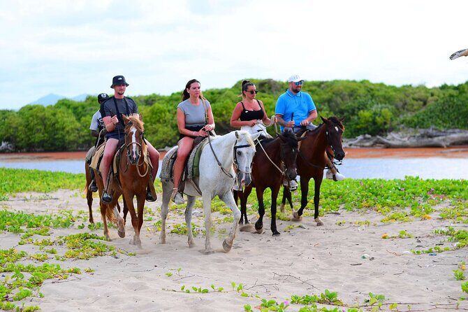 Horseback riding in punta cana beach and Bayahibe - Who Will Love This Tour?