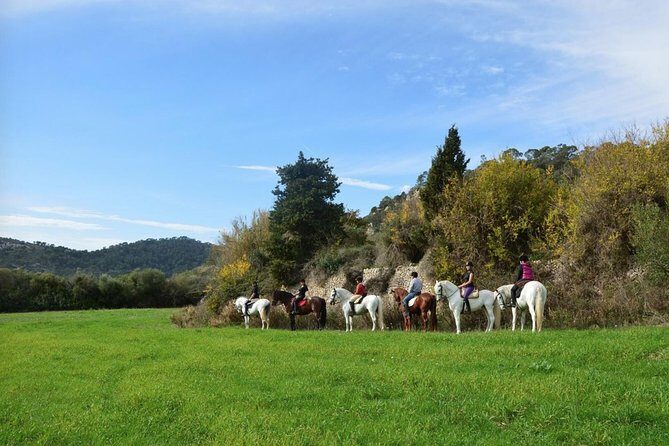 Horseback Riding in Randa Valleys, Mallorca, Spain - Horseback Riding in Randa Valleys, Mallorca: A Balanced Look at an Authentic Experience