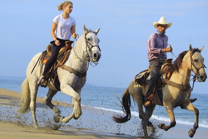 Horseback Riding in Sayulita Through Jungle Trails to the Beach - Exploring the Experience in Detail