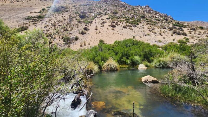 Horseback riding in the Cochiguaz River Sanctuary in the Elqui Valley. - Horseback riding in the Cochiguaz River Sanctuary in the Elqui Valley