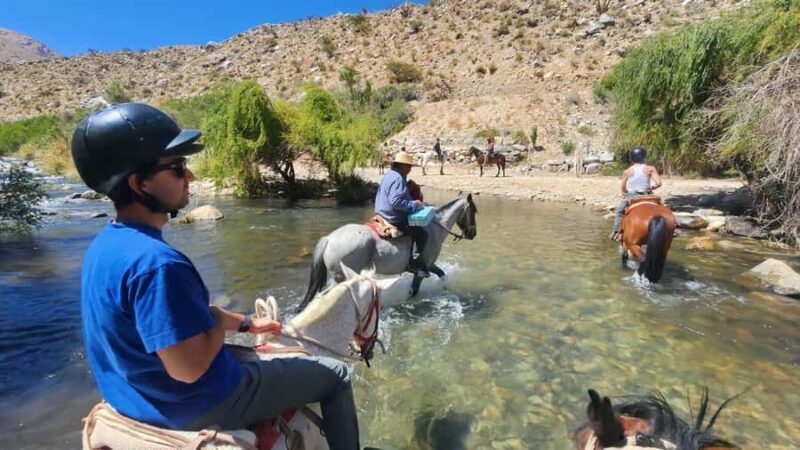 Horseback riding in the Cochiguaz River Sanctuary in the Elqui Valley. - Key Points