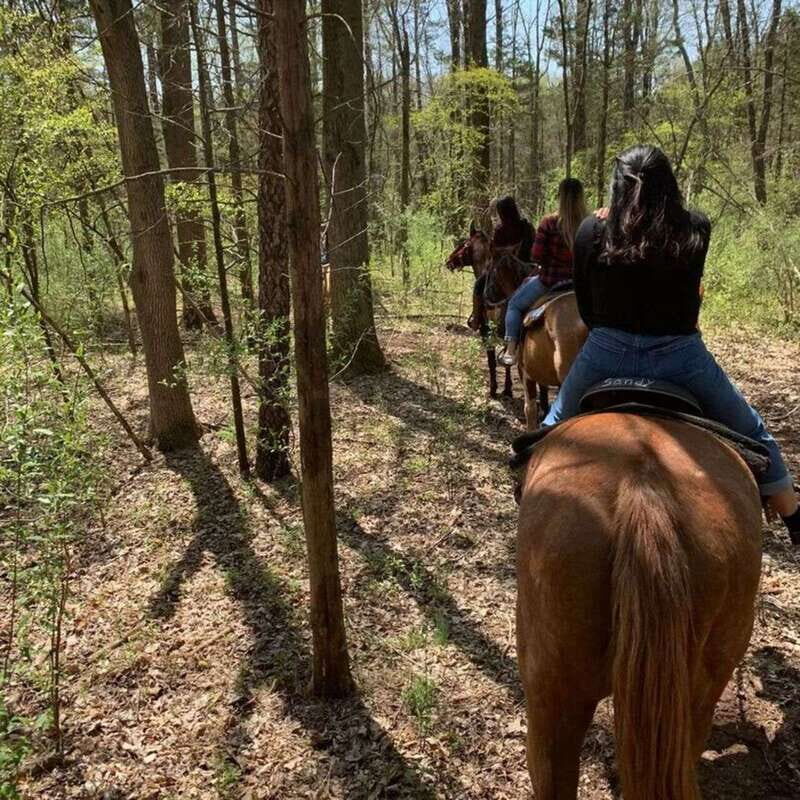 Horseback Riding in the Guanajuato Hills - FAQ