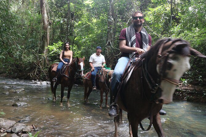 Horseback Riding in the jungle near Panama City - An Overview of the Experience
