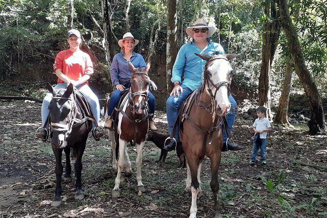 Horseback Riding in the jungle near Panama City - The Itinerary in Detail