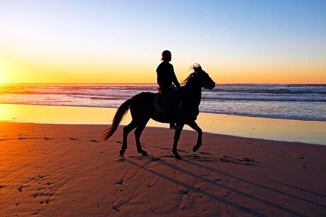 Horseback Riding in the sunset of Famara Beach, Lanzarote, Spain - Who Is This Tour Best For?