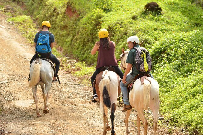 Horseback Riding Jaco - The Experience in Detail