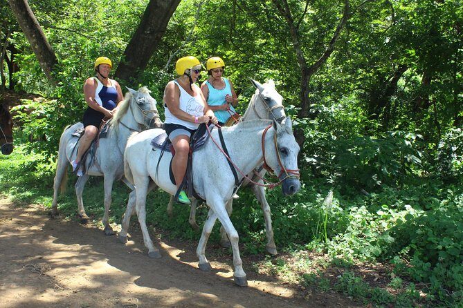Horseback Riding Jungle and Beach in Playa Flamingo - The Sum Up: Who Should Book This Tour?