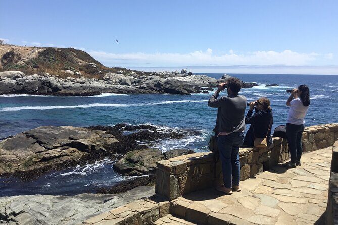 Horseback riding on beach, Winery, Alpacas, penguins & cowboyBBQ - Key Points