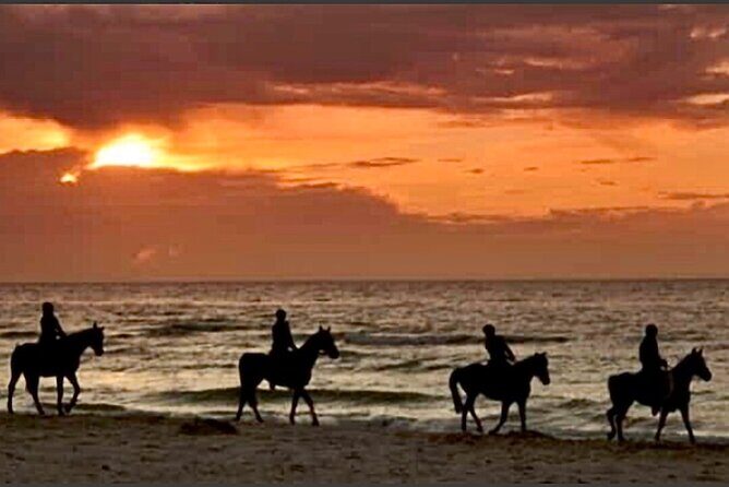 Horseback riding on beach, Winery, Alpacas, penguins & cowboyBBQ - Exploring the Itinerary in Detail