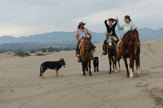 Horseback riding on beach, Winery, Alpacas, penguins & cowboyBBQ - FAQ