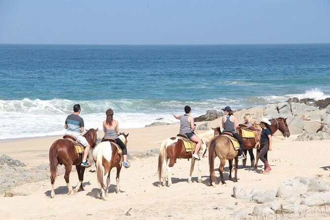 Horseback Riding on The Beach and Through The Desert! - Authentic Experiences and Real Traveler Insights