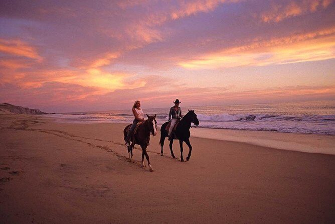 Horseback Riding on The Beach and Through The Desert! - The Itinerary: A Step-by-Step Breakdown