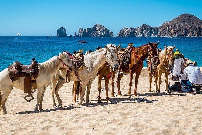 Horseback Riding on The Beach and Through The Desert! - FAQ