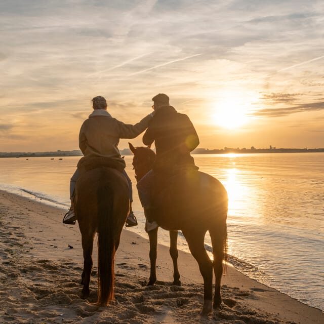 Horseback Riding On The Beach At Sunset - A Detailed Look at the Experience