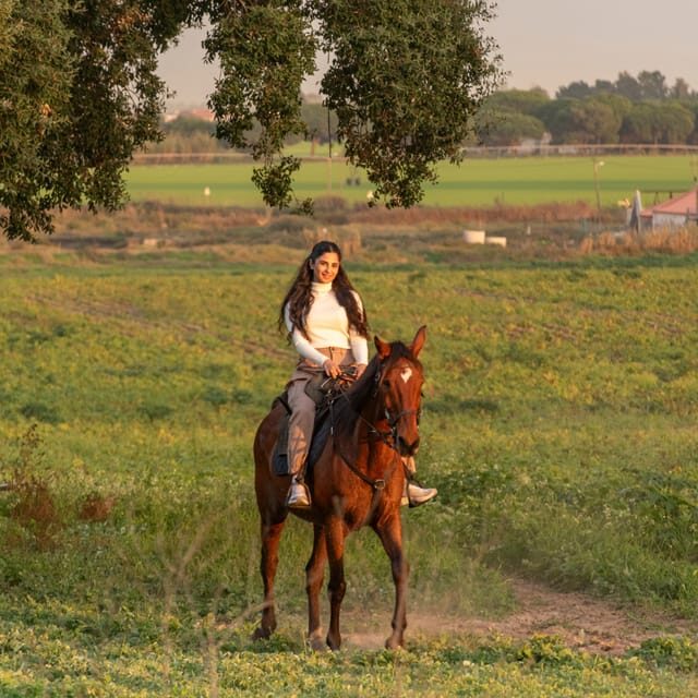Horseback Riding On The Beach At Sunset - Final Thoughts
