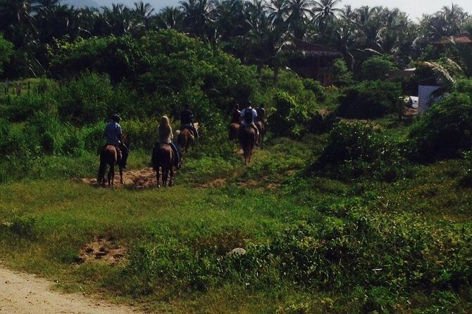 Horseback Riding on the Beach - Horseback Riding on the Beach: A Scenic Adventure in Zihuatanejo